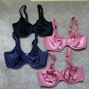 Wacoal Back Appeal 36DDD